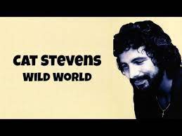 cat stevens wild world traducida