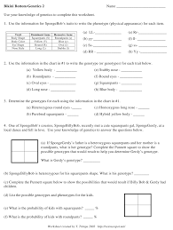 For each genotype below, indicate whether it is a heterozygous (he) or homozygous (ho). Bikini Bottom Genetics 2 Worksheet With Answers T Trimpe Download Printable Pdf Templateroller