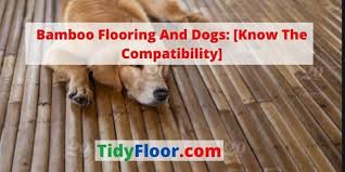 bamboo flooring and dogs know the