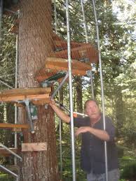 While many people may picture spiral stairs in your home, rather than leading up to a room in a tree, it's the perfect way to. Cedar Creek Treehouse A Gem In The Ashford Woods The Mountain News Wa