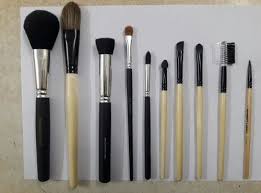 cosmetic home brush set of 12 at rs 250