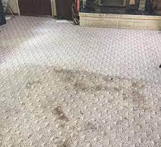 carpet cleaning services marysville wa