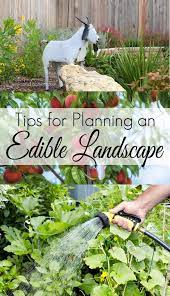 Tips For Planning An Edible Landscape