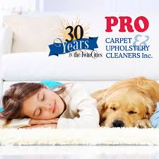 carpet cleaning tips minneapolis st