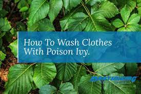 washing clothes with poison ivy