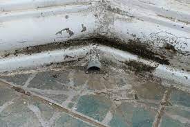 Mold On Concrete Floors Antimicrobial