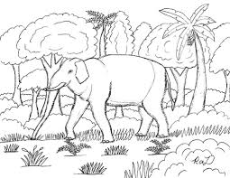 Find high quality sugar cane clipart, all png clipart images with transparent backgroud can be download for free! Robin S Great Coloring Pages Asian Elephant Coloring Page