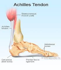The following medical conditions are some of the possible causes of achilles tendon lump. Achilles Tendon Rupture Tests Recovery Treatment Symptoms