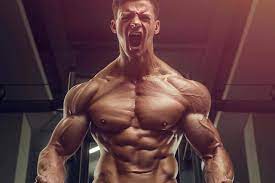Best Legal Steroids from Top Natural Steroid Alternative Brands 2022