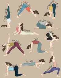 twelve yoga poses i do every day