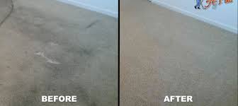 carpet cleaninga plus carpet cleaning