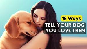 15 ways to tell your dog you love them