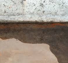 Erie Basement Floor Repair Water