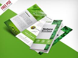nature tri fold brochure template free