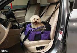 Luxury Pet Car Seat Grabone Nz