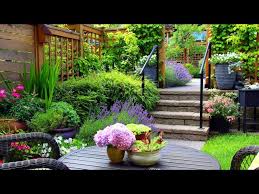 Beautiful Flowerbed And Flower Garden