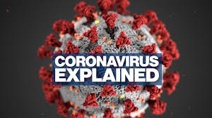 Coronavirus explained Video - ABC News