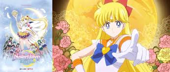 It is an extension of sailor moon crystal. Lscb9k4cpa3 Im