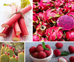 20 naturally pink fruits with pictures