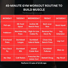 45 minute gym workout routine 5 days a