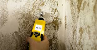 How To Get Rid Of Mold In Your Basement