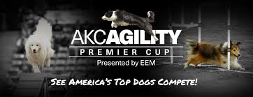 Akc Agility Premier Cup Presented By Longines Masters Of New