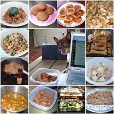 healthy homemade dog food recipes
