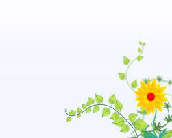 Find the large collection of 44000+ flower background images on pngtree. Sun Flower Background Powerpoint Template Jpg Tamri S World
