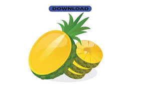 pineapple icon or logo high resolution