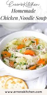 homemade en noodle soup comfort