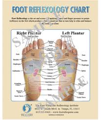 Plantar Foot Reflexology Foot Reading Chart Digital