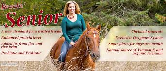 Horse Feed And Nutritional Supplements Brooks Feeds