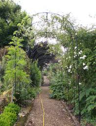 English Rose Tunnel Or Walkway In