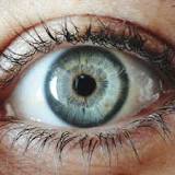 what-is-the-rarest-eye-color