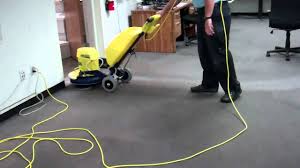 cimex commercial carpet cleaning you