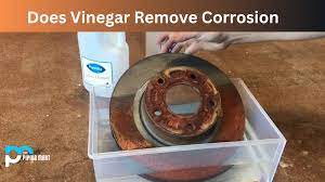 does vinegar remove corrosion an overview