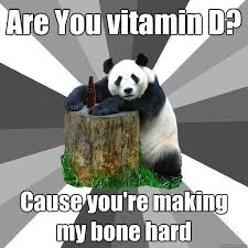 Are You vitamin D? Cause you&#39;re making my bone hard - Pickup-Line ... via Relatably.com