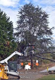Storm damaged repair and tree removal. Tree Service Buford Ga Tree Removal Service