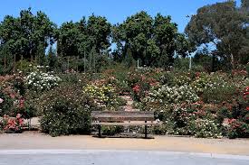 Botanical Gardens In San Jose Ca