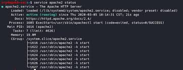 securing apache vk9 security