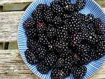 Are there any poisonous blackberry look alikes?