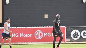 (photo by quinn rooney/getty images). Is Aliir A Sneaky Supercoach Bargain Queensland Times