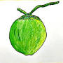 how to draw a coconut from www.drawwithpappu.com