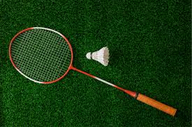 Artificial Grass For Badminton Courts