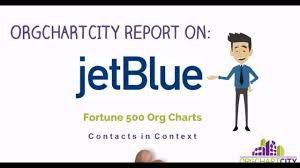 Jetblue Org Chart Video By Orgchartcity Youtube