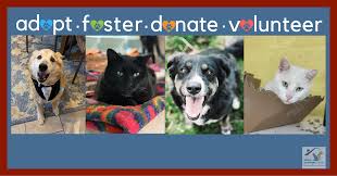 Dog adoption and cat adoption saves lives. Utah Animal Adoption Center Home Facebook