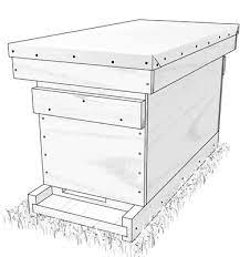 five frame nuc hive