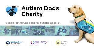 autism dogs charity istance dogs