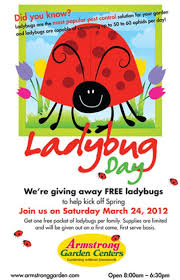 Ladybug Day Na Niguel Ca Patch
