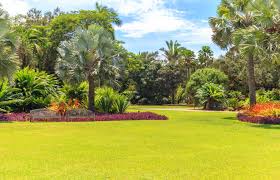 fairchild tropical botanic garden the